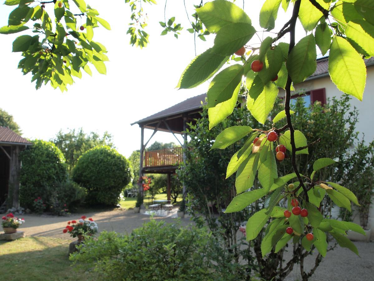Les Jardins De Lily Hotel Saint-Leonard-de-Noblat Exterior photo