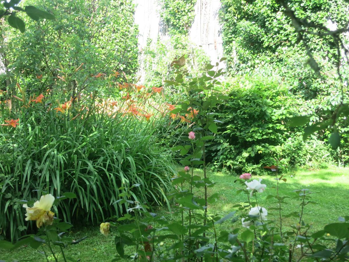 Les Jardins De Lily Hotel Saint-Leonard-de-Noblat Exterior photo